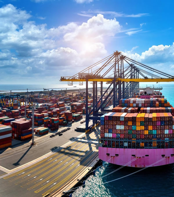 why-choose-us Why Choose Us?